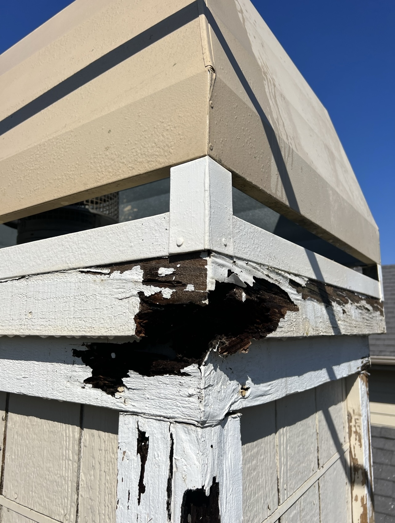 Dry rot destroying a fascia corner beneath intact-looking paint